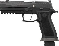 SIG P320 OFF DUTY 9MM 3.9" - XRAY3 (3)21RD HOGUE GRIP POLY