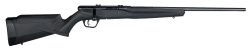SAV B17F 17HMR BA RFL 10RD