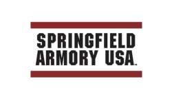 SPRINGFIELD ARMORY ECHELON 9MM BK 4.5" 20+1 NS GU