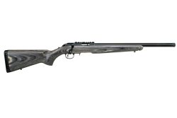 RUG AM RFL RF TGT 22LR 10RD