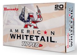 HORNADY 243 WIN 95 GR SST® AWT 20RD/BX 10BX/CS