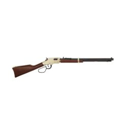 Henry Golden Boy .17HMR