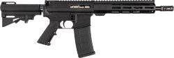 DPM SHORTACLE PST 5.56 30 10.5