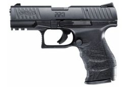 Walther 5100300 PPQ M2 .22LR 4" 12+1 Black