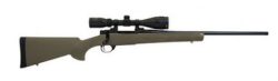 Howa M1500 HGP2250G 22-250 22" Barrel 5+1 Capacity Game Pro 4-12x40 Scope Green