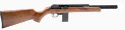 CHIAPPA FIREARMS BUSHRANGER 22LR WD/CF 10RD 16"