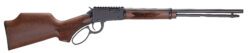 HEN BANDIT LVR 22WMR