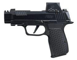 SIG SAUER P365 AXG LUXE 380ACP 12+1 ROMX